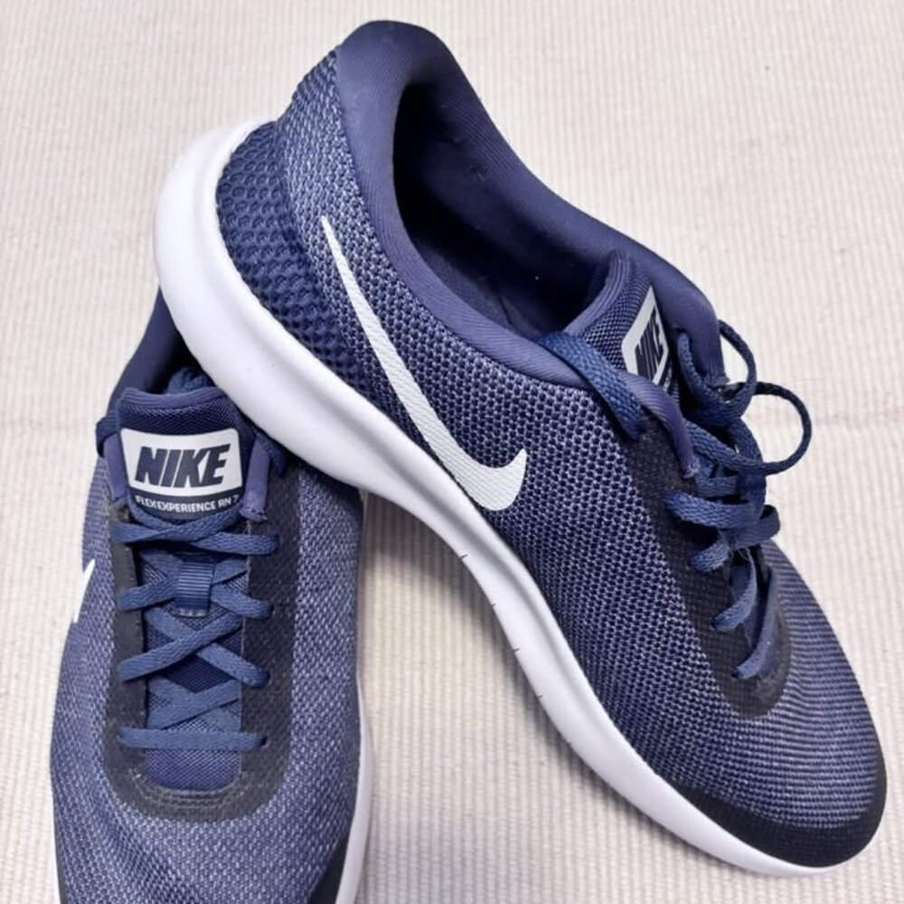Nike Flex Experience RN 7 Men Shoes